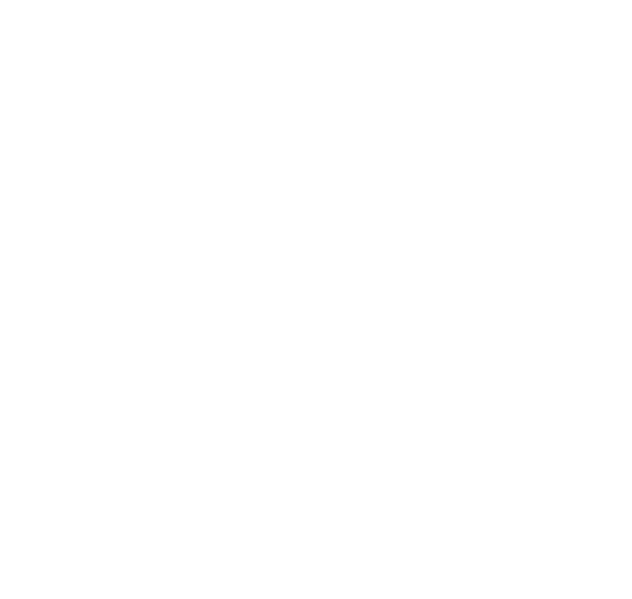 Srion Logo